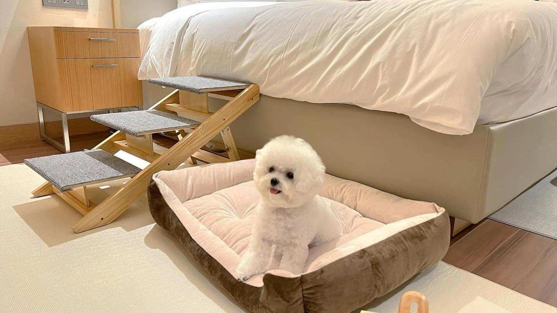 Courtyard By Marriott Seoul Botanic Park Hotel